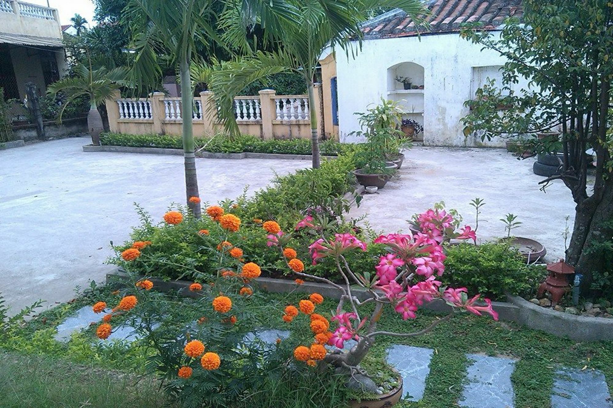 Hoi An Green View Homestay & Villa Εξωτερικό φωτογραφία