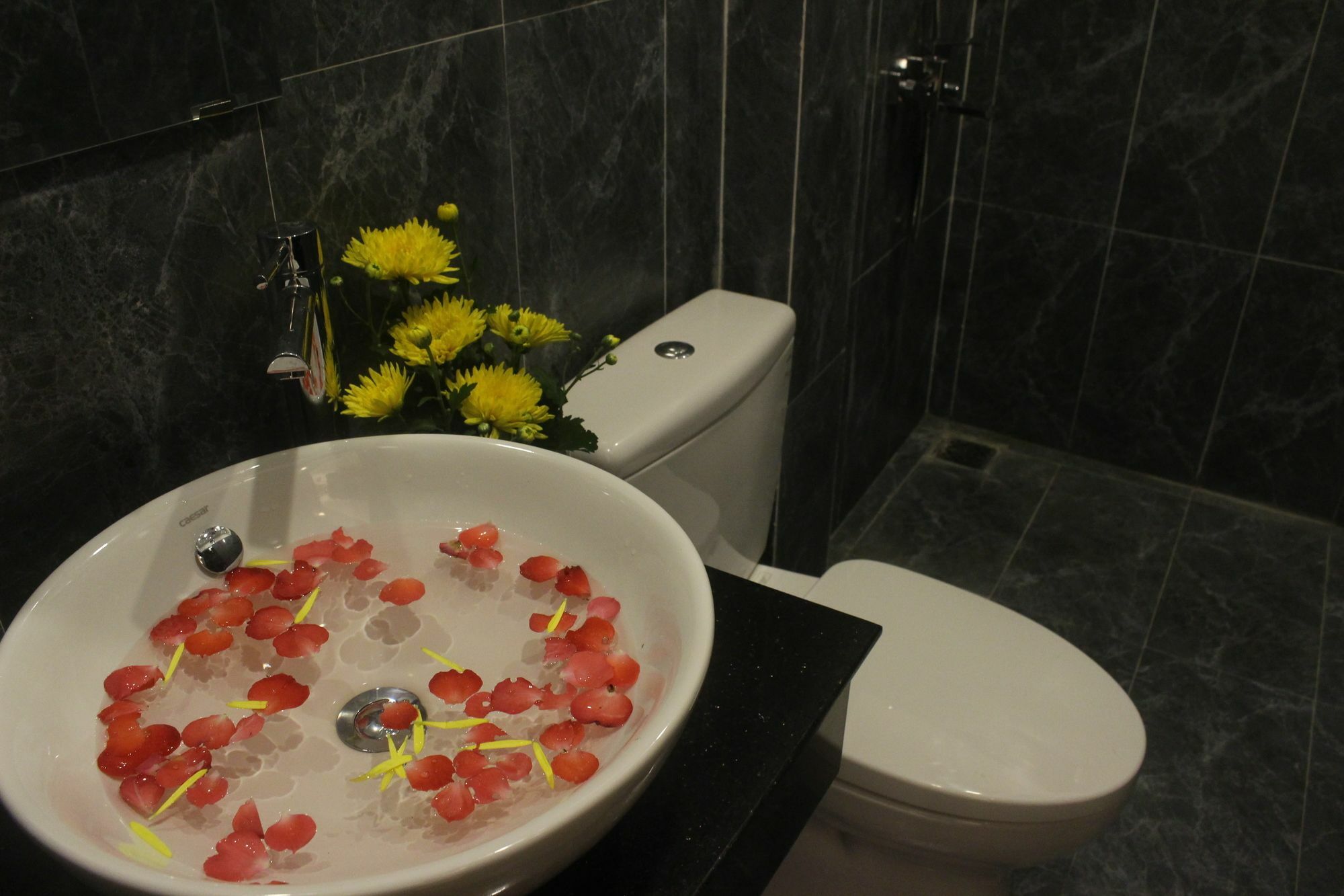 Hoi An Green View Homestay & Villa Εξωτερικό φωτογραφία