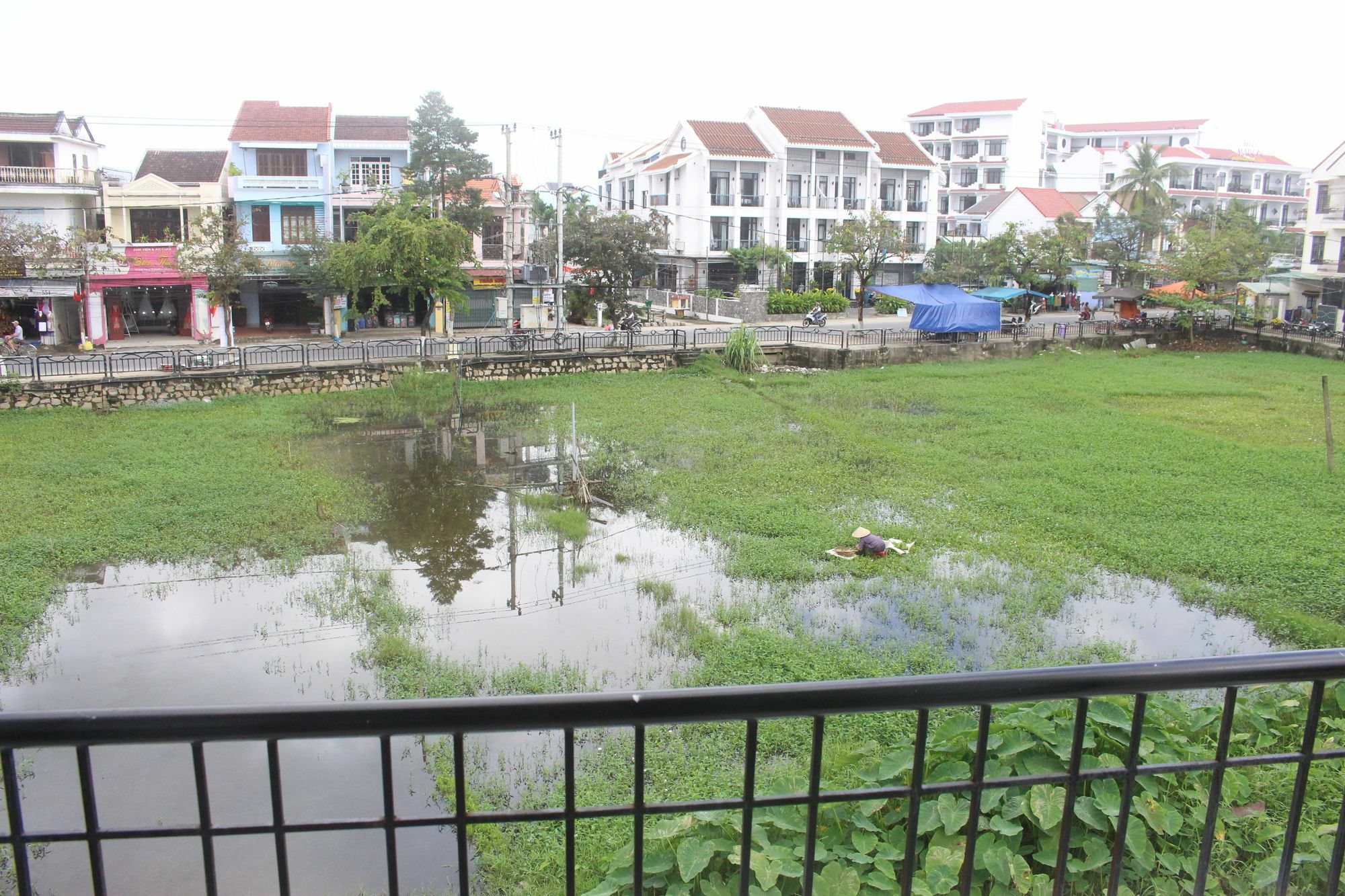 Hoi An Green View Homestay & Villa Εξωτερικό φωτογραφία
