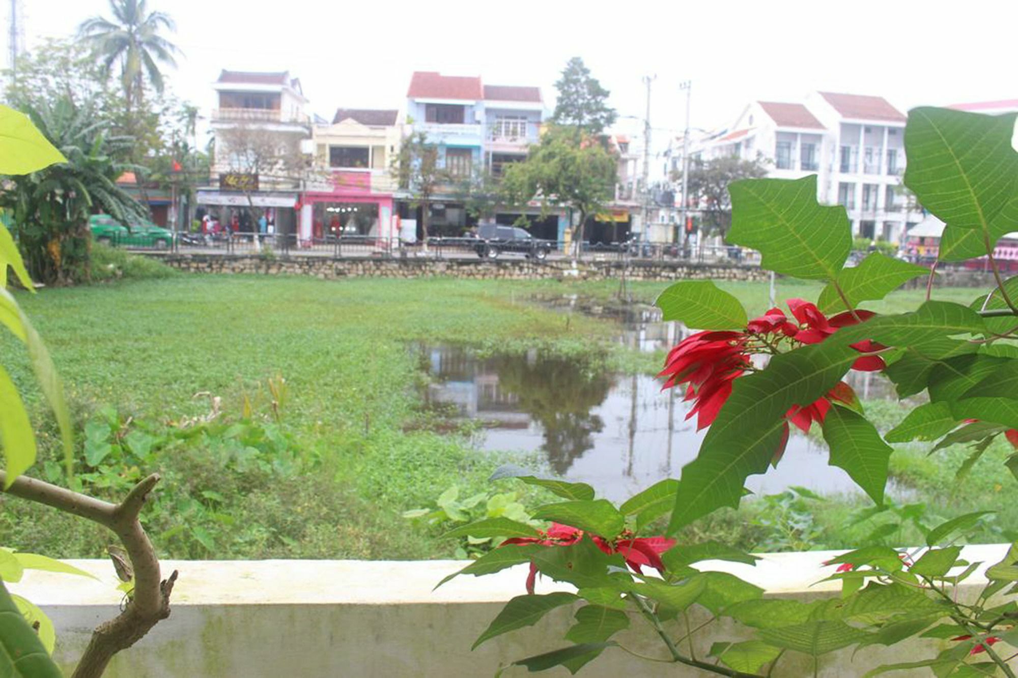 Hoi An Green View Homestay & Villa Εξωτερικό φωτογραφία